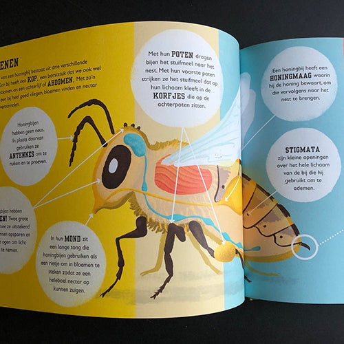 Bijenboek | Charlotte Milner | 9789059569010