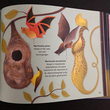 Het Vleermuizenboek | Charlotte Milner | 9789059565463